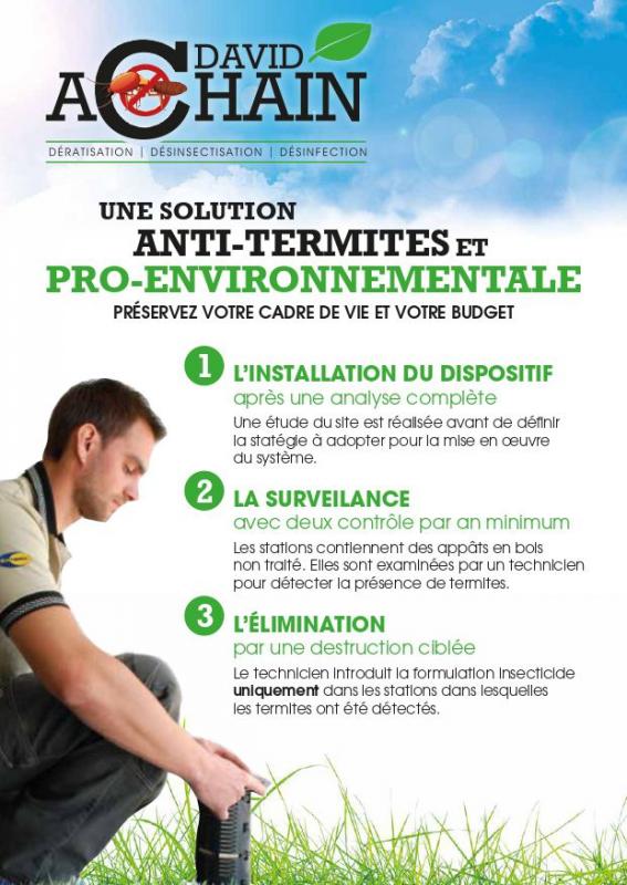 termites en piège Saintes